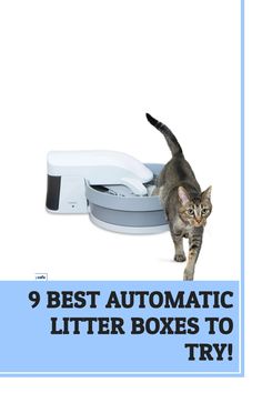 a cat walking next to a litter box with the words 9 best automatic litter boxes to try