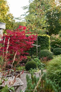 a garden with lots of trees and bushes