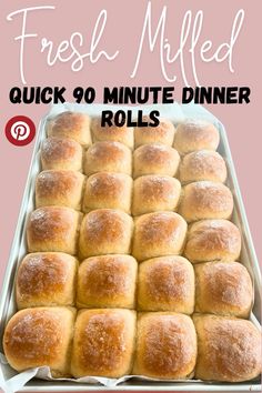 fresh baked rolls in a pan with text overlay that reads quick 90 minute dinner rolls