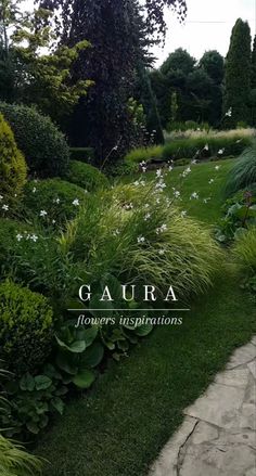 the cover of gaura's book, flowers inspirations