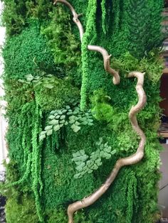 a moss covered wall with trees and plants on it