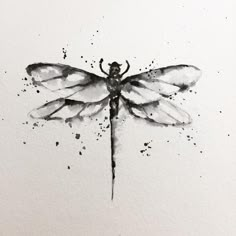 a watercolor drawing of a dragonfly on white paper with black ink splots