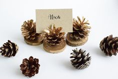 pine cones are arranged next to a place card on a white background with the word alex's written on it