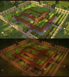 an image of a vegetable garden in the middle of two different screens, one with lots of plants