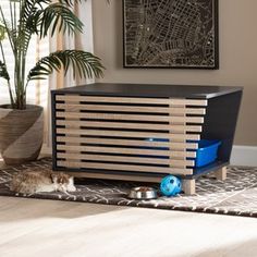 a cat laying on the floor in front of a cabinet with wooden slats and blue bins