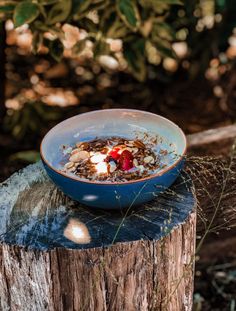 a blue bowl filled with food sitting on top of a tree stump