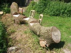 several wooden chairs sitting on top of a grass covered field next to a fallen tree