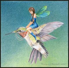 fairy_riding_hummingbird Knitted Stitches, Mother Earth Art, Unicorn And Fairies, Fairy Drawings, Fairies Garden, Hummingbird Art, Fairy Pictures, Fairy Artwork, Fairy Friends