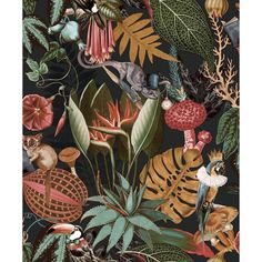 a black background with lots of different types of plants and animals on it's surface