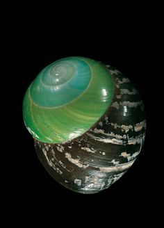 a close up of a snail shell on a black background in the dark with its green and brown stripes