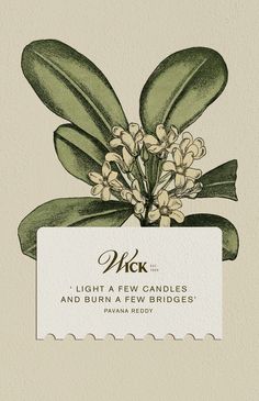 candle, candle design, branding, label, packaging design, candle packaging, candle label, brand design, logo design, graphic designer, soy wax candle, botanical, holistic Essential Oil Branding, Botanical Branding, Candle Essential Oils, Candle Label Design, Holistic Design, Botanical Candle, Essential Oil Brands, Kutch Work Designs, Identity Design Inspiration