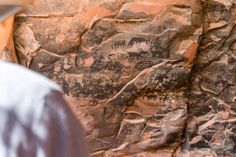 a man standing in front of a rock wall with paintings on it and animals painted on the rocks