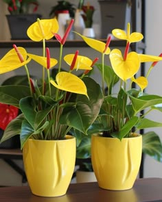 two yellow vases filled with flowers on top of a table