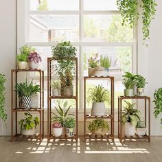 there are many potted plants on the shelves in this room and one is empty