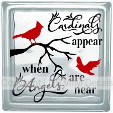 a red bird sitting on top of a tree branch with the words cardinal appear when angels are near