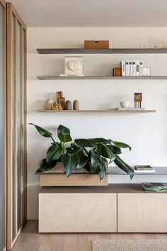 there is a plant on the shelf in the living room with books and other items