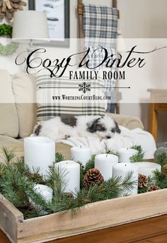 a tray filled with candles and pine cones on top of a wooden table in front of a couch