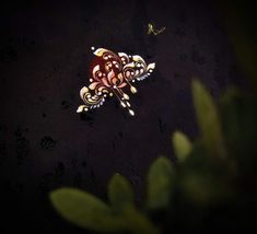 an overhead view of a butterfly on the ground next to some green leaves and grass