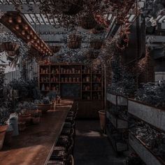 an old greenhouse with lots of plants growing on the walls and shelves full of potted plants