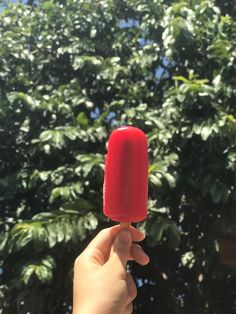 Picolé de melancia vermelho em primeiro plano e folhas ao fundo sendo iluminadas pela luz do sol Red Ice Cream, Summer Aesthetic, The Sun, Ice Cream, Sun, Cream, Red, Instagram