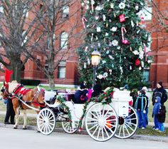 a horse drawn carriage with people standing around it in front of a large christmas tree