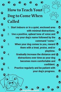 a blue poster with instructions on how to teach your dog to come when called