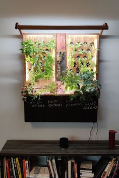 a book shelf with books and plants on it in front of a wall mounted window