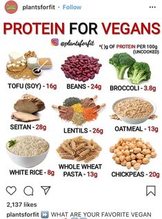 Vegetarian Protein Sources, Healthy Vegan Recipes, Plant Based Diet Recipes, Protein Rich Foods