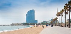 people are walking on the beach next to palm trees and tall buildings in the background