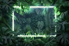 a square frame surrounded by tropical leaves in the middle of a green background with neon lights