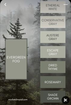 an iphone screen with the words evergreen fog on it and trees in the back ground