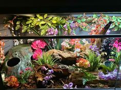 an aquarium filled with lots of different types of plants and flowers in it's display case