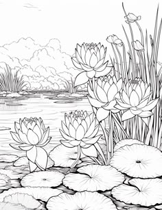 a black and white drawing of water lilies in a pond with lily pads on the ground