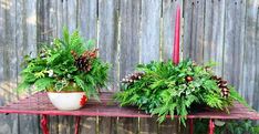 two potted plants sitting on top of a red table next to a wooden fence