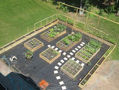 an aerial view of a vegetable garden with lots of plants growing in the ground and surrounded by plastic tarps