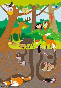 an illustration of people in the woods surrounded by animals