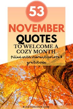 trees with the words,'53 november quotes to welcome a cozy month filled with autumn colors