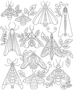 a coloring page with different types of bugs