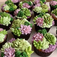 cupcakes decorated with green and pink flowers on a table