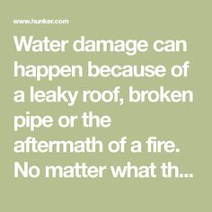 Water damage can happen because of a leaky roof, broken pipe or the aftermath of a fire. No matter what the cause, water damage can fill your home with an unpleasant odor. The... Washer Drum, Leaky Roof, Wet Dry Vacuum, Mold Remover, The Aftermath, Natural Deodorant, Water Damage, Mold And Mildew, A Fire