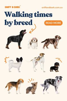 a book cover with different dogs on it's page and the title, walking times by breed read more