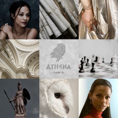 a collage of photos with an owl, woman and chess pieces in the background