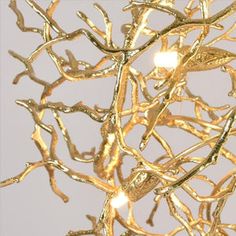 the branches of a tree are lit up with gold colored light bulbs in front of a gray sky