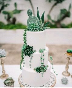 a three tiered white wedding cake with succulents