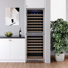 a wine cooler in the corner of a room with a potted plant next to it