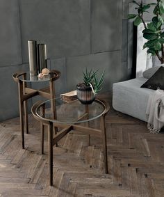 a living room scene with focus on the coffee table and plant in the centerpiece