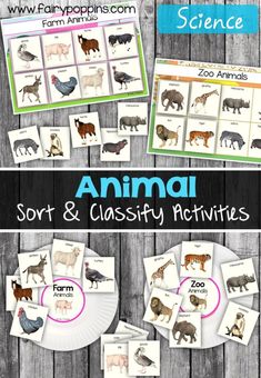 an animal sort and class activity with pictures