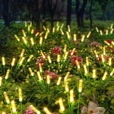 some lights that are in the grass near flowers and trees with green leaves on them