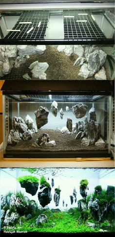 an aquarium filled with rocks and water