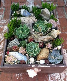 a wooden box filled with lots of succulents on top of a brick floor